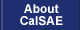 About CalSAE